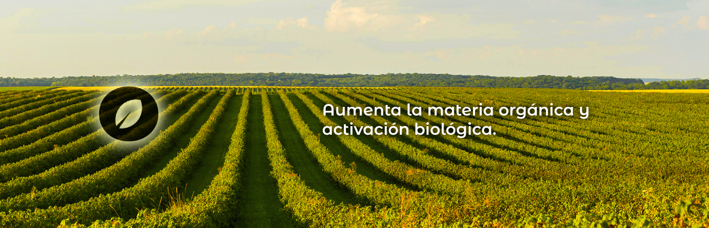 siembra